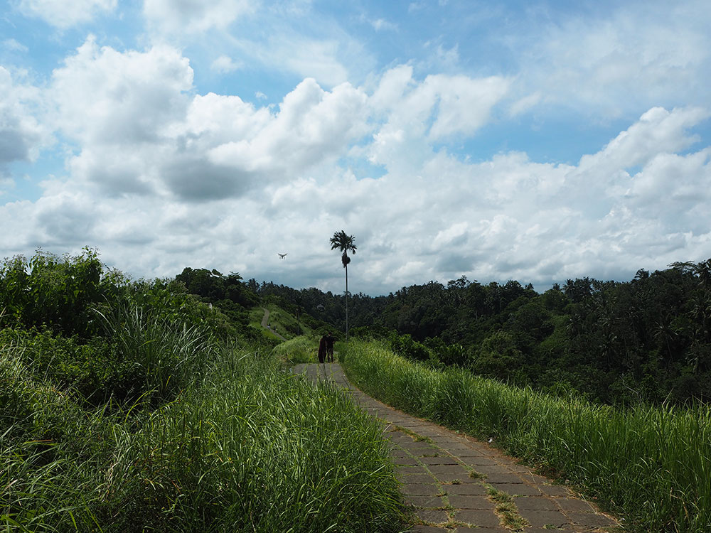 RosyCheeks-Bali-Ubud-Campuhan-Ridge-Walk